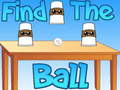Тоглоом Find The Ball
