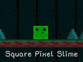 Тоглоом Square Pixel Slime
