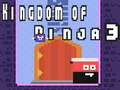 Тоглоом Kingdom of Ninja 3