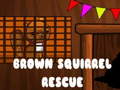 Тоглоом Brown Squirrel Rescue