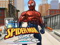 Тоглоом Spiderman Skateboarding