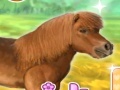 Тоглоом My Dear Pony
