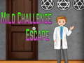 Тоглоом Amgel Mild Challenge Escape