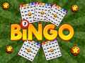 Тоглоом Bingo Revealed