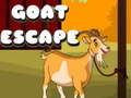 Тоглоом Goat Escape