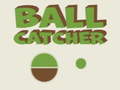 Тоглоом Ball Catcher