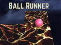 Тоглоом Ball runner