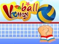 Тоглоом Volleyball