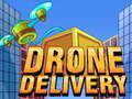 Тоглоом Drone Delivery