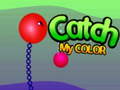 Тоглоом Catch My Color