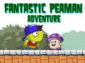 Тоглоом Fantastic Peaman Adventure 