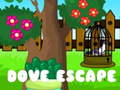 Тоглоом Dove Escape