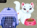Тоглоом Baby Taylor Pet Care