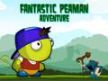 Тоглоом Fantastic Peaman Adventure