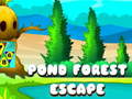Тоглоом Pond Forest Escape