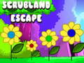 Тоглоом Scrubland Escape