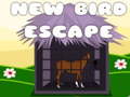 Тоглоом Horse escape