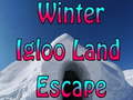 Тоглоом Winter Igloo Land Escape 