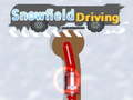 Тоглоом Snowfield Driving