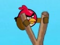 Тоглоом Angry Bird Counter Attack