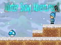 Тоглоом Winter Snowy Adventures 1