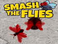 Тоглоом Smash The Flies