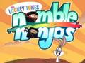 Тоглоом Nimble Ninjas
