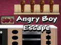 Тоглоом Angry Boy Escape