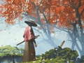 Тоглоом Samurai Reflexion