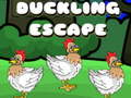 Тоглоом Duckling Escape