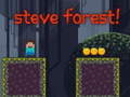 Тоглоом Steve Forest