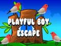 Тоглоом Playful Boy Escape