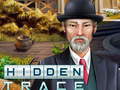 Тоглоом Hidden Trace