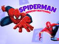 Тоглоом Spiderman Memory Matching