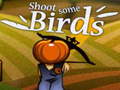 Тоглоом Shoot Some Birds