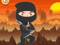 Тоглоом Trained Ninja Puzzle
