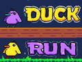 Тоглоом Duck Run