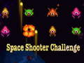 Тоглоом Space Shooter Challenge