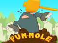 Тоглоом Pum-Mole