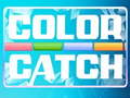 Тоглоом Color Catch