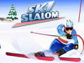 Тоглоом Ski Slalom