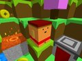 Тоглоом Blocky Rush Downhill