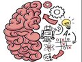 Тоглоом Creativity Brain