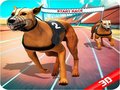 Тоглоом Crazy Dog Race
