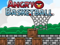 Тоглоом Angry Basketball