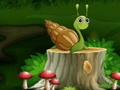 Тоглоом Snail 