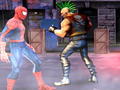 Тоглоом Spiderman: Street Fighter
