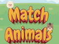 Тоглоом Match Animals