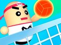 Тоглоом 3D Amazing VolleyBall