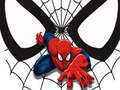 Тоглоом Spiderman Match Cards